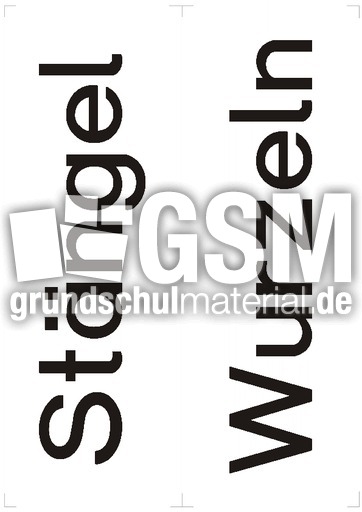 Text-Druck 2.pdf